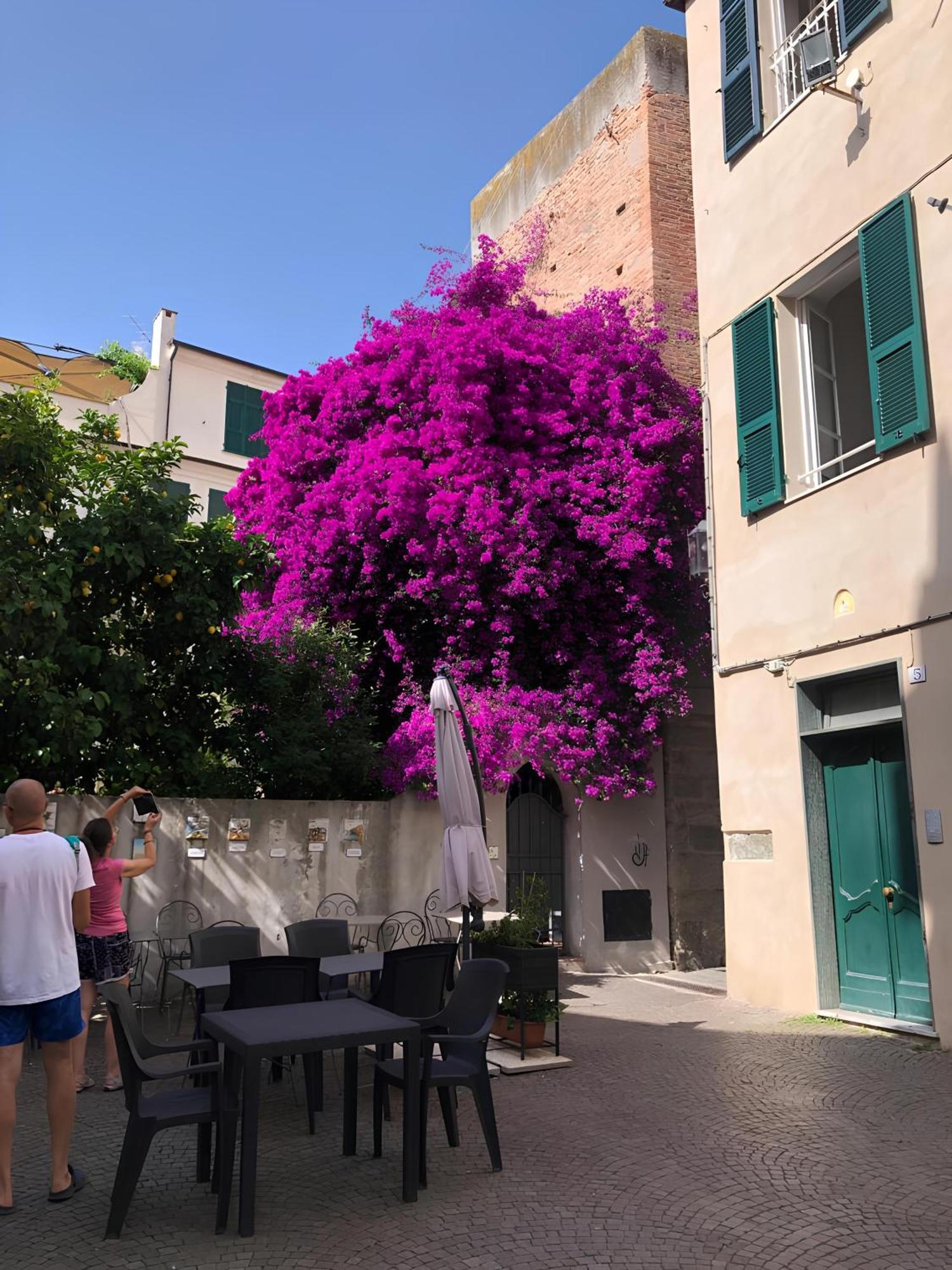 Wonderful Noli - Appartamento Noli Liguria Italia Exterior foto